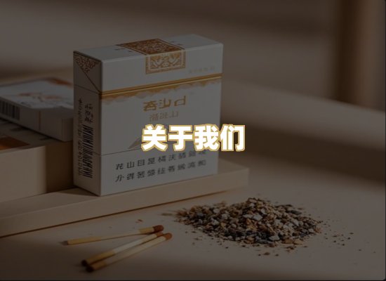 关于我们